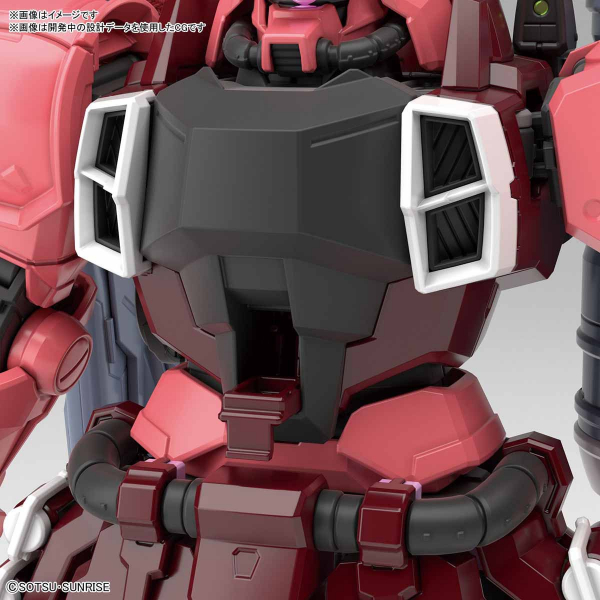 BANDAI 萬代 | MG 1/100《機動戰士鋼彈SEED DESTINY》ZGMF-1000/A1 砲擊型薩克戰士（露娜瑪麗亞·霍克專用機）組裝模型  