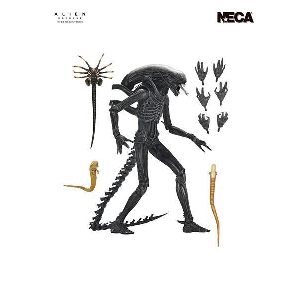 NECA 異形：羅穆路斯 | Alien: Romulus 終極 異形 | Xenomorph XX121 7吋 可動完成品 | 全新未拆 | 現貨 