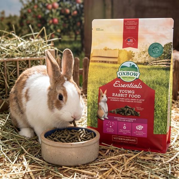 OXBOW 幼兔飼料 5lb/10lb 