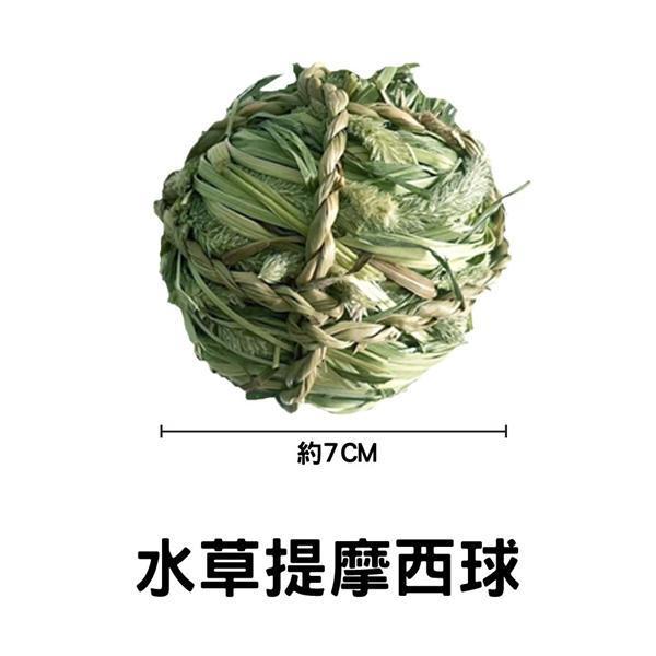 水草提摩西球 
