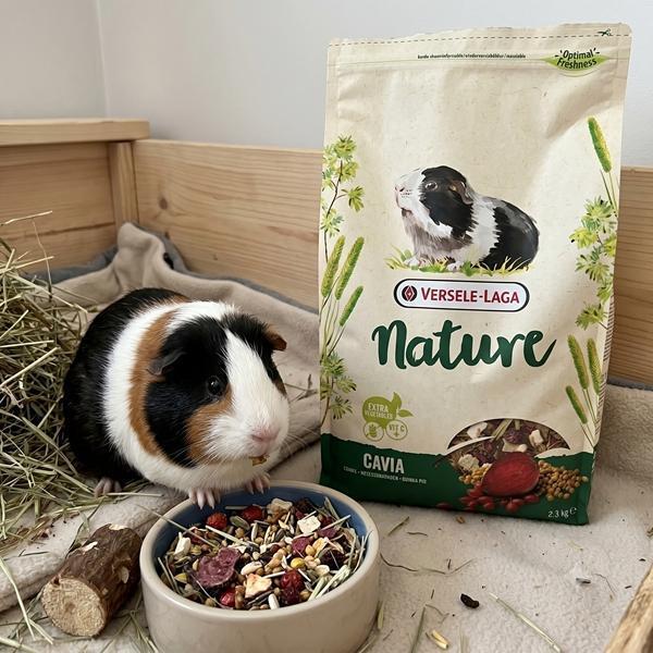 NATURE特級天竺鼠飼料700g 