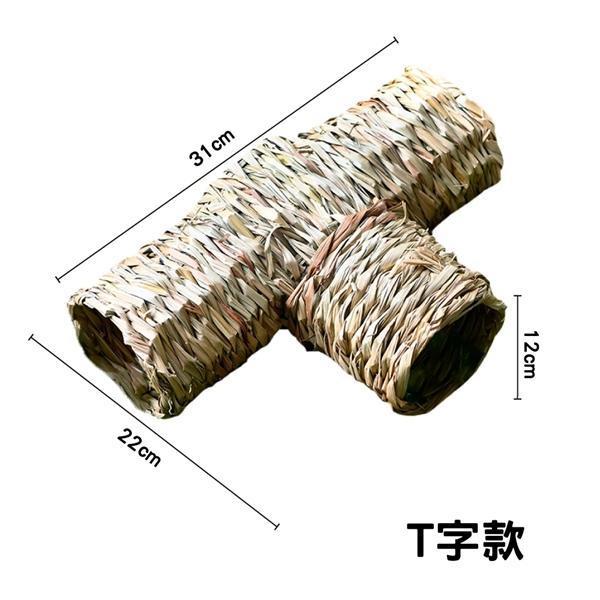T字隧道 