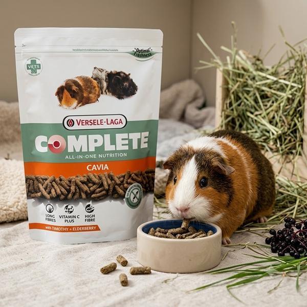 天竺鼠-全方位完整飼料500g/1.75kg 