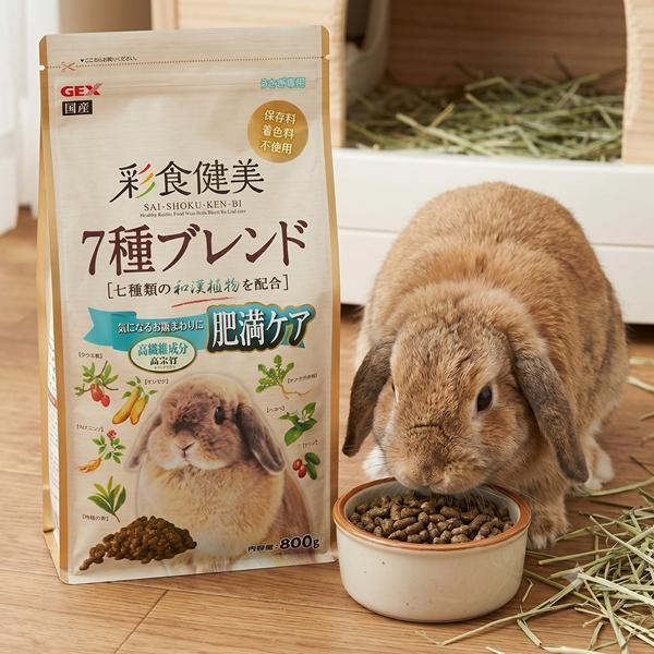 GEX 彩食健美肥胖800g 