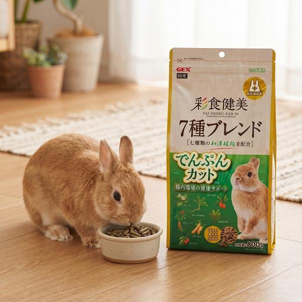 GEX 彩食健美 腸道菌均衡餐800g 