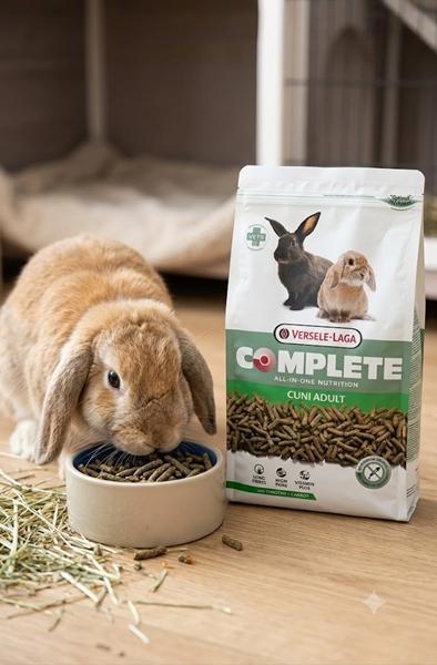 成兔-全方位完整飼料500g/1.75kg 