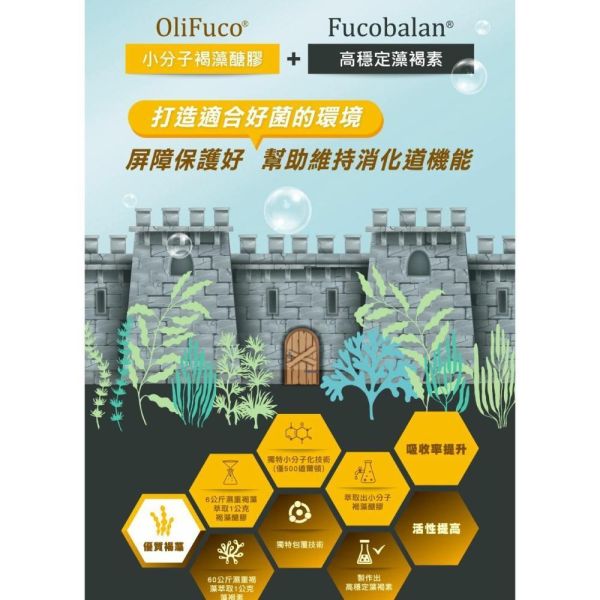 中華海洋生技 Hi-Q 褐立順EX 粉劑型 30包/盒 益生菌 
