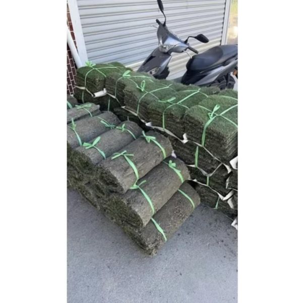 【頂級台北草】半坪$200｜別墅庭院專用 雜草率低 台北草皮 草毯 景觀工程 園藝代客施工 