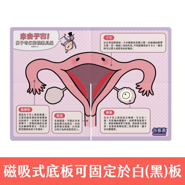 【JUNO粉絲專屬】《來去子宮！青春期初經寶典～從零開始跟月經相處》＋卵子奇幻旅程教具組｜谷慕慕 來去子宮,陳漢玲,初經,初經教育,月經教育,月經是什麼,初經來了怎麼辦,第一次那個來,月經第一次來,初潮