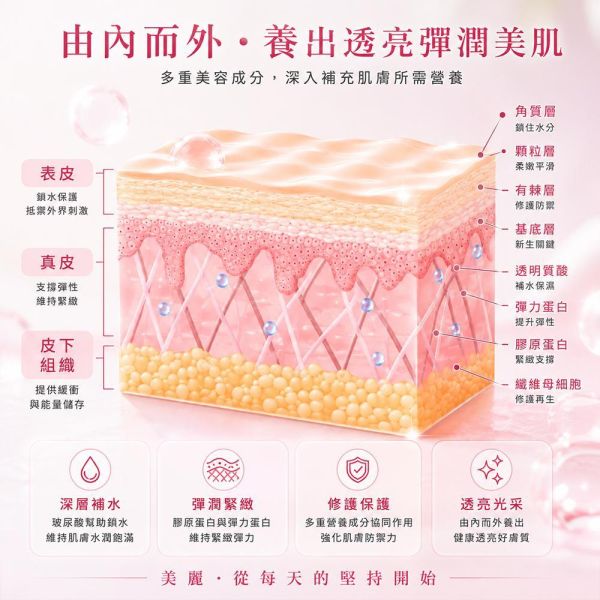 【夏帕 SHOPA】膠原蛋白×蝦紅素膠原蛋白粉｜天然蝦紅素加乘・日本原裝進口・煉乳風味美容飲 膠原蛋白
膠原蛋白推薦
日本膠原蛋白
保健食品
美容保健
營養補充品
美容保養