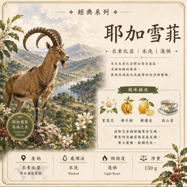 《小旅行Cafe》耶加雪菲 - 苿莉花 | 佛手柑 | 檸檬皮 | 高山茶 