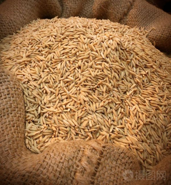 粗糠 | 天然稻殼・園藝介質・雞舍墊料-13公斤 粗糠哪裡買、粗糠、稻殼、稻穀殼、粗糠用途、粗糠哪裡買、稻殼哪裡買、園藝粗糠、園藝稻殼、雞舍墊料、禽畜墊料、稻殼堆肥、金永發粗糠