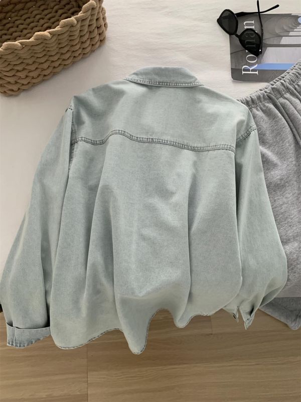 清新文藝紗 復古淺藍小馬刺繡翻領襯衫上衣 清新文藝紗 復古淺藍小馬刺繡翻領襯衫上衣