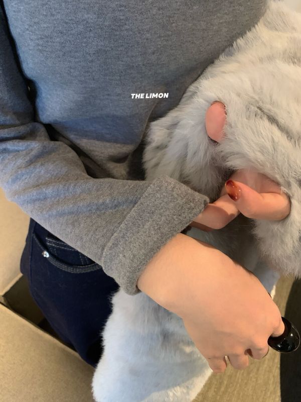 帶胸墊簡約德絨百搭U領T恤-4色 帶胸墊簡約德絨百搭U領T恤-4色