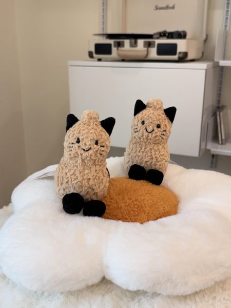 現貨 Jellycat萬聖節系列 花生貓貓 