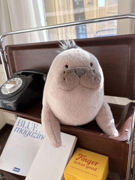 現貨 Jellycat 海獅 Jellycat,Jellycat海獅,Roarwell Sea Lion,海獅玩偶,療癒玩偶,英國玩偶,生日禮物,Sweetsour