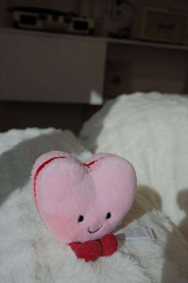 現貨 Jellycat 情人節系列 愛心馬卡龍 