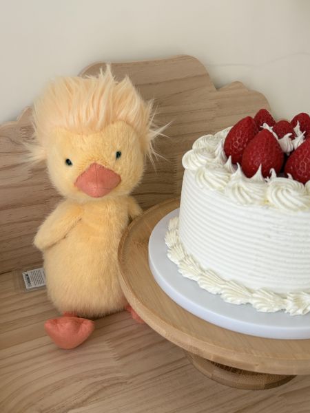 現貨 Jellycat 炸毛 多瑞特小黃鴨 鴨鴨 