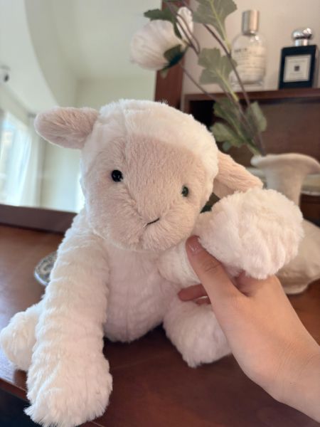 現貨 Jellycat 「絕版退休」 波浪毛毛羊 