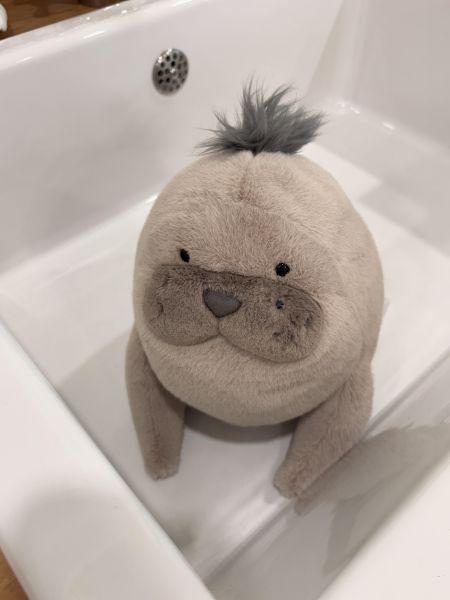 現貨 Jellycat 海獅 Jellycat,Jellycat海獅,Roarwell Sea Lion,海獅玩偶,療癒玩偶,英國玩偶,生日禮物,Sweetsour