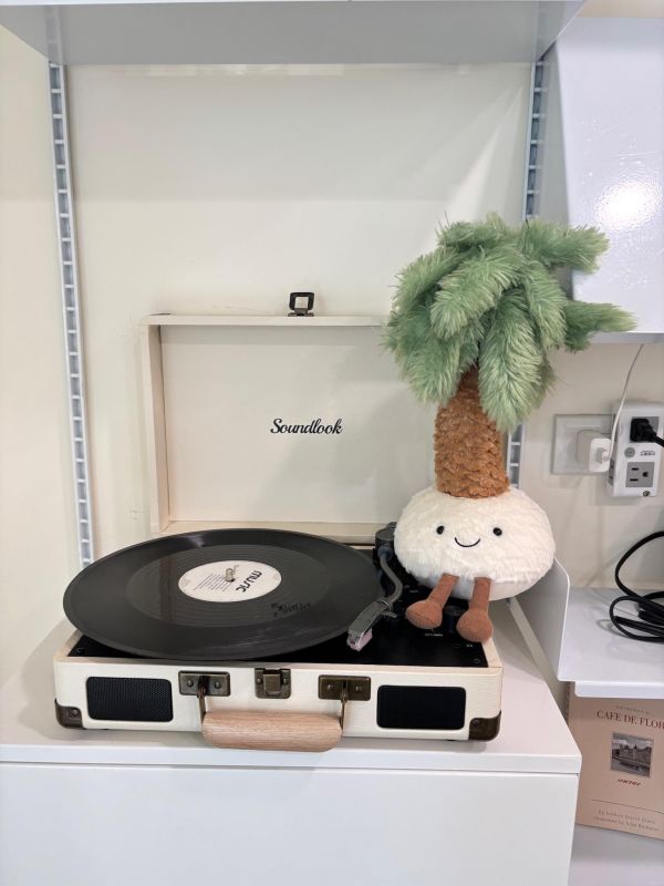 現貨 Jellycat 棕櫚樹 