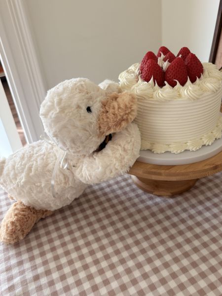 現貨 Jellycat 「絕版退休」唐布利鴨鴨 