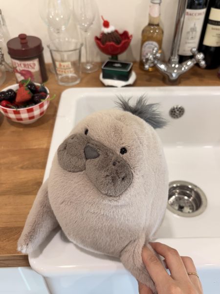 現貨 Jellycat 海獅 Jellycat,Jellycat海獅,Roarwell Sea Lion,海獅玩偶,療癒玩偶,英國玩偶,生日禮物,Sweetsour