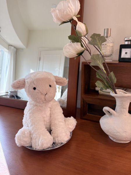 現貨 Jellycat 「絕版退休」 波浪毛毛羊 