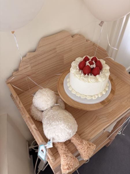現貨 Jellycat 「絕版退休」唐布利鴨鴨 