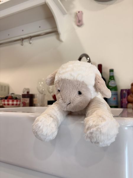 現貨 Jellycat 「絕版退休」 波浪毛毛羊 