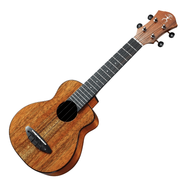 aNueNue US1K 全單板 相思木 21吋烏克麗麗 KOA UKULELE 附小小收納袋、PICK、貼紙、胸章、琴布、原廠琴盒 
