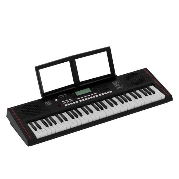 Roland E-X10 61鍵 自動伴奏電子琴 原廠公司貨 兩年保固 EX10 