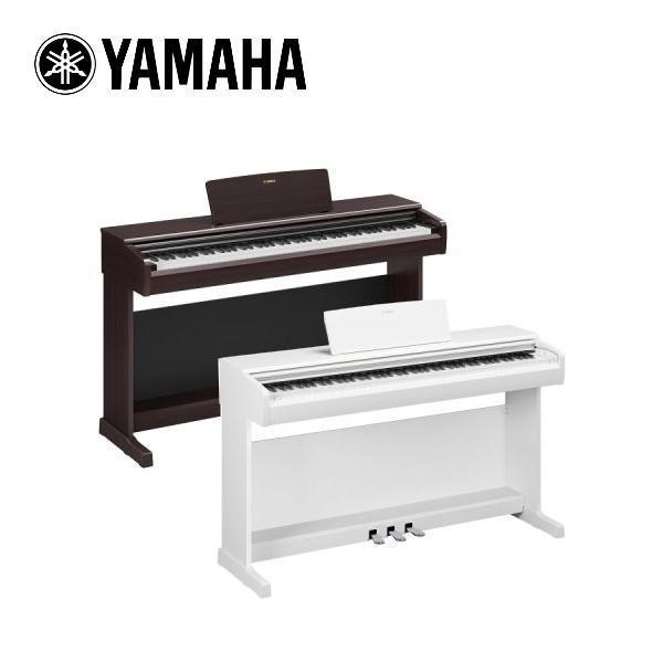 Yamaha YDP-146 數位鋼琴 88鍵 電鋼琴 YDP146 附原廠鋼琴椅 / 贈耳機 台灣山葉公司貨 附原廠鋼琴椅 / 贈耳機 台灣山葉公司貨