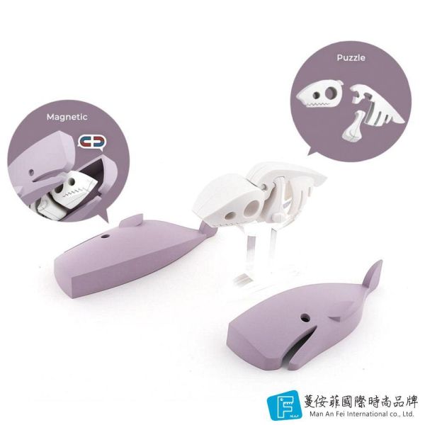 磁吸骨骼拼圖-抹香鯨 