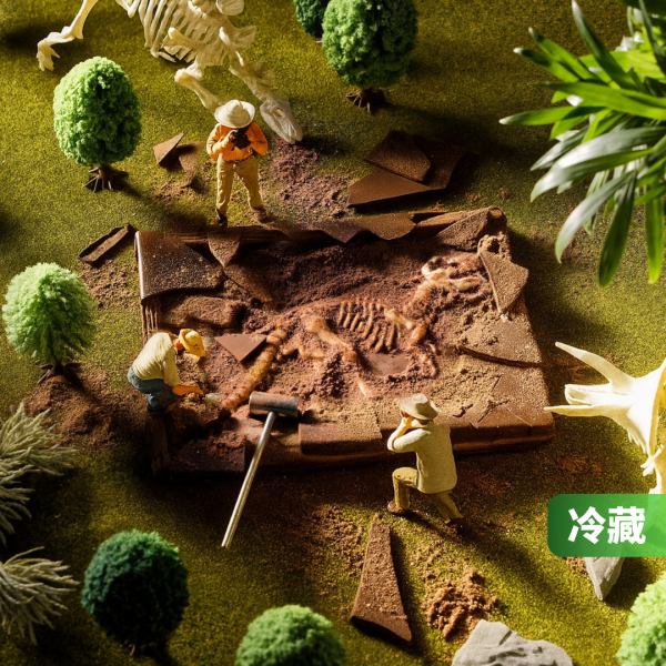 恐龍化石巧克力風味(大盒) 木匠 手 作 恐龍、木匠 手 作 恐龍 化石、木匠 手 作 恐龍 化石 巧克力、木匠 手 作 恐龍 巧克力、木匠 手 作 推薦、台灣 推薦 伴 手 禮、台湾 伴 手 禮、台灣 的 伴 手 禮、伴 手禮、台灣 特色 伴 手 禮、台灣 伴 手 禮 推薦、中秋 節禮 盒、中秋送禮推薦