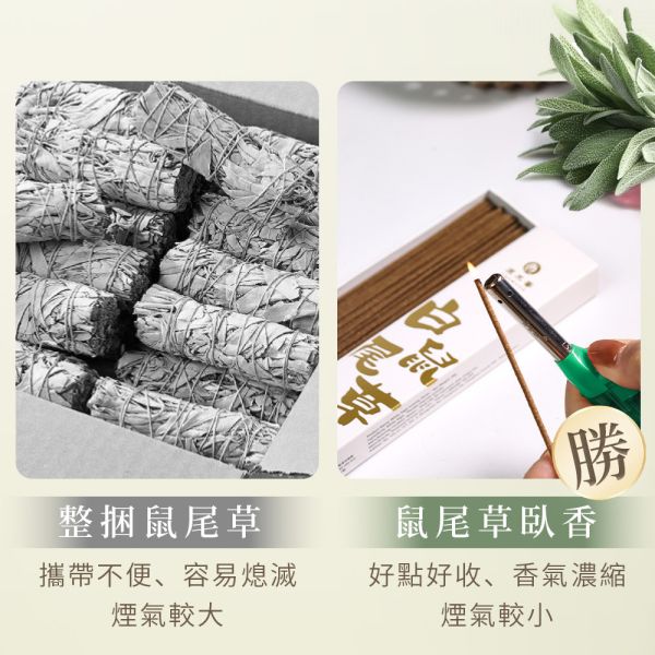 原木香 白色鼠尾草臥香 線香 30克 鼠尾草 White Sage 薰香 淨化香 草本清香 無助燃劑 不燙手 純天然 室內薰香 放鬆 占卜 塔羅 水晶 冥想 瑜珈 淨化磁場 提升磁場 白鼠尾草,鼠尾草,淨化香,臥香,線香,薰香,加州,塔羅,水晶,冥想,瑜珈,淨化磁場,提升磁場,能量,