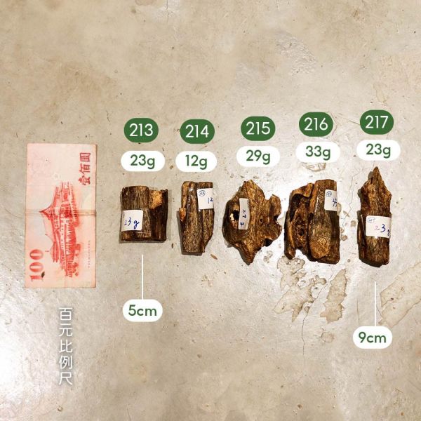 原木香 黃金綠棋楠沉香 原木件 213~227號 沉香擺件 蟲漏沉香 黃金綠旗楠沉香,棋楠,奇楠,棋楠沉香,綠旗楠,沉香,原木香,棋楠佛珠,棋楠手串