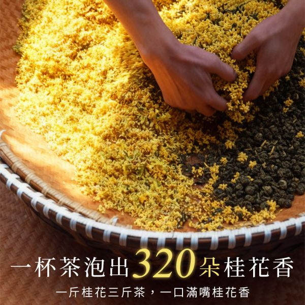 原木香 桂雨 桂花烏龍茶 (8g*6入) 茶包 茶葉 杉林溪烏龍茶 南庄金桂 台灣茶 純天然 輕焙 高山烏龍 桂花 窨茶 冷泡 熱泡 午茶 持久耐泡 回沖不苦澀 桂雨,桂花烏龍茶,8g,8克,茶包,茶葉,烏龍,南庄金桂,台灣茶,純天然,輕焙,高山烏龍,桂花,窨茶,冷泡,熱泡