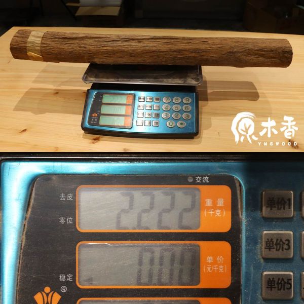 原木香 限量珍藏品!! 超巨大 加里曼丹沉香棍 百年醇化料 提升氣場 鎮宅保平安 聚財納氣 原木棍 