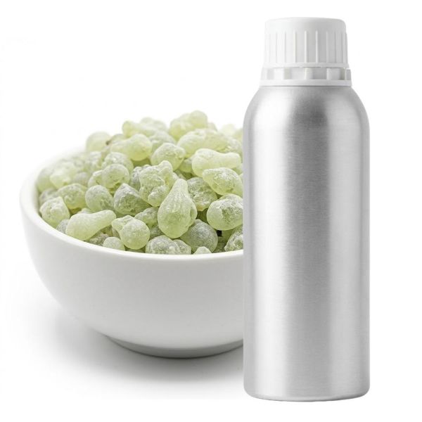 原木香 阿曼綠乳香精油 【早鳥預購 4月上旬出貨】 綠乳香 蒸餾 純精油 樹脂精油 天然精油 擴香 安神 放鬆 冥想 靜心 阿曼綠乳香,阿曼,乳香,綠乳香,乳香精油,樹脂,樹脂精油,擴香,薰香,精油,天然精油,純精油