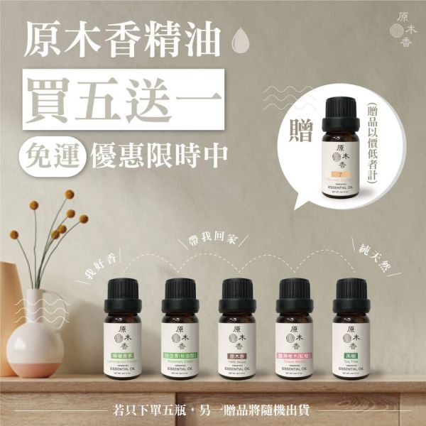 原木香 迷迭香精油 (10ml/瓶/摩洛哥) 傳說中的記憶之草 草本香氣 桉油醇 COA認證 單方精油 純精油 純天然 薰香 擴香 泡澡 調和 調香 疏通 提神醒腦 幫助記憶 舒緩疲勞 提振精神 提升專注 舒緩肌肉 改善呼吸道 香氛精油 精油擴香 天然精油 迷迭香 迷迭香精油