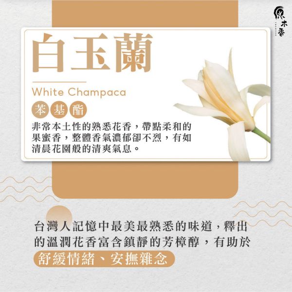 原木香 玉蘭花精油 白玉蘭 (3ml /10ml) 台灣人記憶中最美的味道 白玉蘭花 花香調 幽香 COA認證 單方精油 純精油 純天然 薰香 擴香 泡澡 調和 調香 放鬆 舒壓 療癒 心靈平和  平靜思緒 改善情緒 安撫心緒 減輕焦慮 鎮靜 溫暖 女性能量 白玉蘭精油 玉蘭花精油 白玉蘭葉精油 白玉蘭花精油 花香精油 香氛精油 精油擴香 天然精油