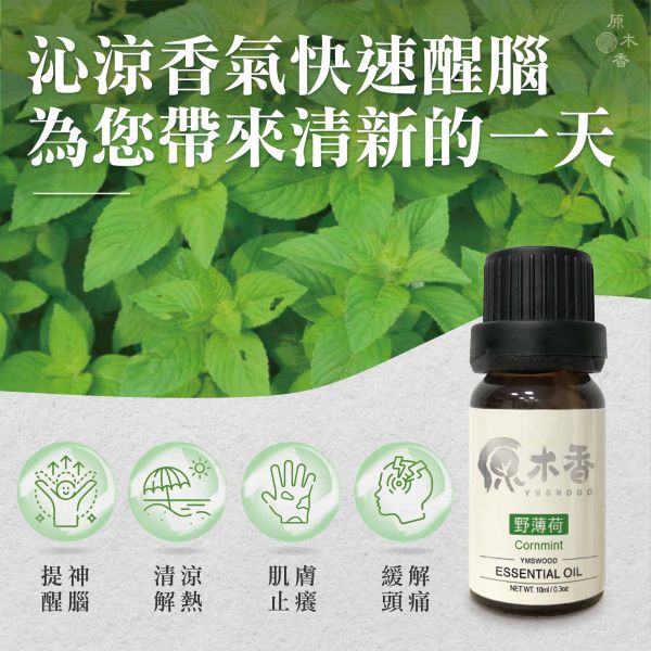 原木香 野薄荷精油 (10ml/瓶/印度) 沁涼提神的藥草香氣 土薄荷 玉米薄荷 薄荷腦 薄荷醇 COA認證 單方精油 純精油 純天然 薰香 擴香 調和 提神 醒腦 消暑 解暑 清涼 清新 解熱 止痛 止癢 冰涼清爽 涼感 舒緩頭暈 香氛精油 芳療精油 天然精油 野薄荷 薄荷 精油 野薄荷精油 薄荷精油