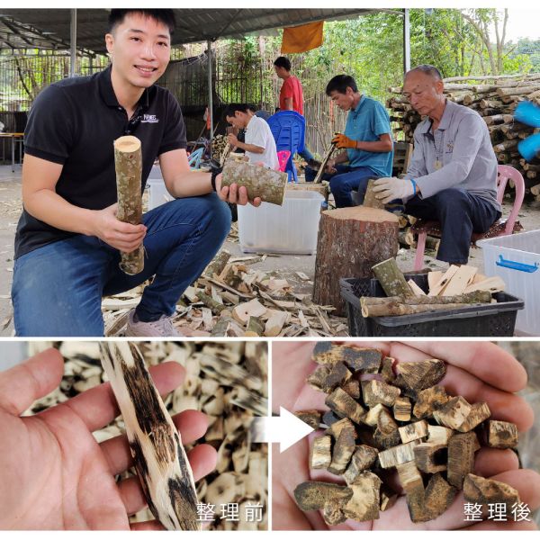 原木香 黃金綠棋楠沉香精油(勾絲油) 1g  棋楠沉香萃取 100%純精油 無添加化學成分 天然精油 純精油 沉香油 SGS認證  舒緩身心 正陽之氣 避邪 擋煞 化煞 除障 除穢 淨化磁場 安神 定心 舒壓助眠 提升正能量 提神 心靈平和 改善情緒 安撫心緒 減輕焦慮 助眠 修行 靜坐 冥想 靈性 擴香 薰香 綠棋楠,黃金,沉香,黃金綠棋楠,綠棋楠沉香,沉香精油,1g,綠棋楠沉香精油,棋楠,奇楠,綠奇楠,勾絲油,