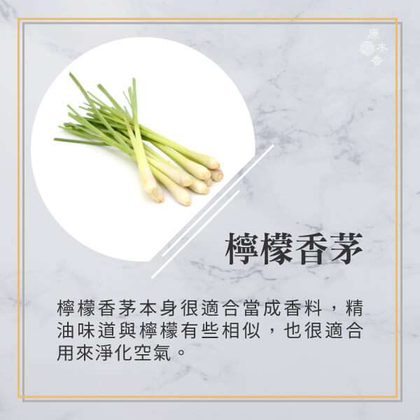 原木香 檸檬香茅精油 (10ml/瓶/印度) 清新微酸微甜的氣味 公認能帶來快樂的香味 檸檬草精油 COA認證 單方精油 純精油 純天然 薰香 擴香 泡澡 調和 調香 居家芳香 除臭 除異味 淨化空氣 改善情緒 激勵 提振精神 消除疲勞 思緒清晰 解壓 舒壓 放鬆肌肉 驅蚊 防蚊 驅邪 淨化 檸檬香茅精油 香茅精油 香氛精油 精油擴香 天然精油