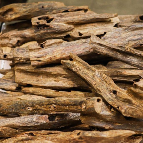 原木香 黃金綠棋楠沉香 原木件 213~227號 沉香擺件 蟲漏沉香 黃金綠旗楠沉香,棋楠,奇楠,棋楠沉香,綠旗楠,沉香,原木香,棋楠佛珠,棋楠手串