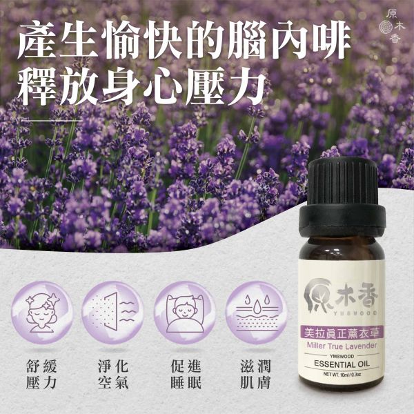 原木香 美拉真正薰衣草精油 (10ml/瓶/法國) 柔和舒適的草本花香 淡雅香氣 溫暖柔和 高地薰衣草 純正薰衣草 花香調 沉香醇 COA認證 精油之母 單方精油 純精油 純天然 薰香 擴香 泡澡 調和 調香 放鬆 舒壓 療癒 心靈平和 改善情緒 安撫心緒 減輕焦慮 助眠 安眠 香氛精油 芳療精油 天然精油 美拉 真正薰衣草 美拉薰衣草 精油 真正薰衣草精油 美拉真正薰衣草精油