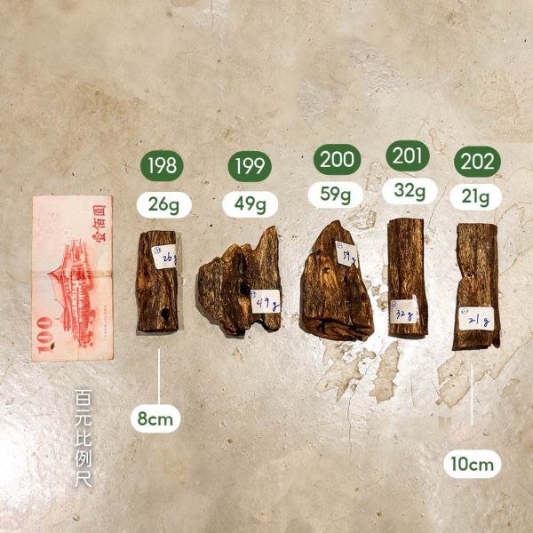 原木香 黃金綠棋楠沉香 原木件 198~212號 沉香擺件 蟲漏沉香 黃金綠旗楠沉香,棋楠,奇楠,棋楠沉香,綠旗楠,沉香,原木香,棋楠佛珠,棋楠手串