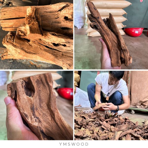 原木香 印度老山檀香根 風化料 手串 12mm ~ 20mm 印度麥索爾 檀香根 檀木 老山檀 香氣濃郁 正宗老山 甘醇奶香 手串 招財 避邪 開運 結緣 避邪 平安 護身擋煞 邁索爾,麥索爾,佛珠,手串,印度老山檀香,檀香根,印度,老山檀,檀香,檀木,沉水,檀香佛珠,念珠