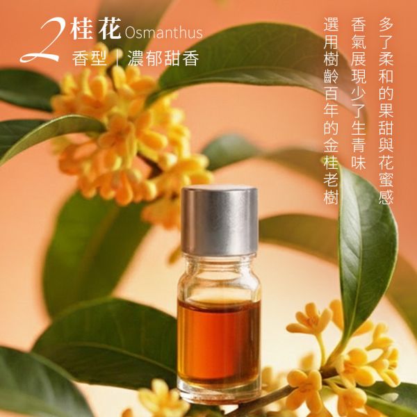 原木香 花香精油擴香機套組 茉莉花精油(冷凝萃取) 桂花精油 3ml 基底油 長春之境 森呼吸純精油擴香機 產區第一手精油 花香系列精油 鮮花精油 提升貴人運 好人緣 招桃花 求姻緣 茉莉精油,茉莉,茉莉花,桂花精油,桂花,黃金桂,基底油,長春之境,佛手柑,維吉尼亞雪松,雪松,廣藿香,玉蘭,玉蘭花,白玉蘭,花香,花香精油,天然精油,花精油,純精油,純天然精油,擴香機,森呼吸,純精油擴香機